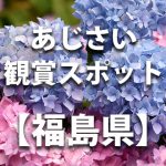 福島県のあじさい鑑賞スポット・名所・穴場　見ごろや開花時期、紫陽花祭り情報など