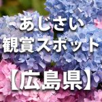 広島県のあじさい鑑賞スポット・名所・穴場　見ごろや開花時期、紫陽花祭り情報など