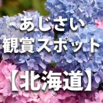 北海道のあじさい鑑賞スポット・名所・穴場　見ごろや開花時期　紫陽花祭り情報など