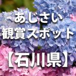 石川県のあじさい鑑賞スポット・名所・穴場　見ごろや開花時期、紫陽花祭り情報など