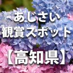 高知県のあじさい鑑賞スポット・名所・穴場　見ごろや開花時期、紫陽花祭り情報など