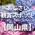 岡山県のあじさい鑑賞スポット・名所・穴場　見ごろや開花時期、紫陽花祭り情報など