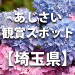 【そうか公園　花しょうぶとあじさい】埼玉県草加市