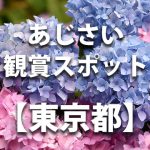 東京都のあじさい鑑賞スポット・名所・穴場　見ごろや開花時期、紫陽花祭り情報など