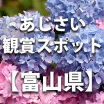 富山県のあじさい鑑賞スポット・名所・穴場　見ごろや開花時期、紫陽花祭り情報など