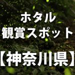 県立四季の森公園神奈川県横浜市