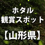 【二井宿地区「ゲンジ蛍とカジカ蛙鑑賞会」】山形県高畠町