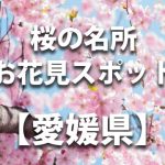 愛媛県の桜の名所や花見スポット／人気・定番・穴場／ライトアップやイベント情報一覧