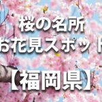 福岡県の桜の名所や花見スポット／人気・定番・穴場／ライトアップやイベント情報一覧