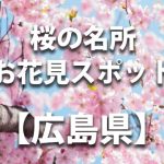 【世羅 甲山ふれあいの里】桜の名所・花見スポット／定番人気スポットや穴場・ライトアップ情報など