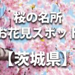 【太平山県立自然公園】＜茨城県＞桜の名所・花見スポット／見ごろや開花情報・ライトアップ・駐車場情報など