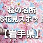 岩手県の桜の名所や花見スポット／人気・定番・穴場／ライトアップやイベント情報一覧