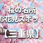 三重県の桜の名所や花見スポット／人気・定番・穴場／ライトアップやイベント情報一覧