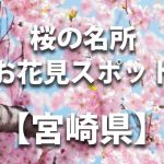 宮崎県の桜の名所や花見スポット／人気・定番・穴場／ライトアップやイベント情報一覧