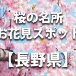 長野県の桜の名所や花見スポット／人気・定番・穴場／ライトアップやイベント情報一覧