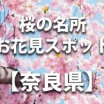 奈良県の桜の名所や花見スポット／人気・定番・穴場／ライトアップやイベント情報一覧