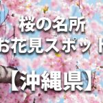沖縄県の桜の名所や花見スポット／人気・定番・穴場スポットの見ごろや開花情報など