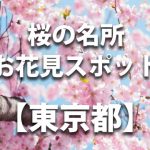 【グランドプリンスホテル高輪】＜東京都＞桜の名所・花見スポット／見ごろや開花情報・ライトアップ・駐車場情報など
