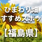 福島県のひまわり畑 オススメ人気スポット／名所／穴場・イベント情報