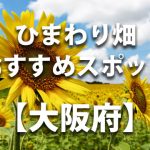 大阪府のひまわり畑 オススメ人気スポット／名所／穴場・イベント情報