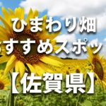 佐賀県のひまわり畑 オススメ人気スポット／名所／穴場・イベント情報