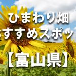 富山県のひまわり畑 オススメ人気スポット／名所／穴場・イベント情報